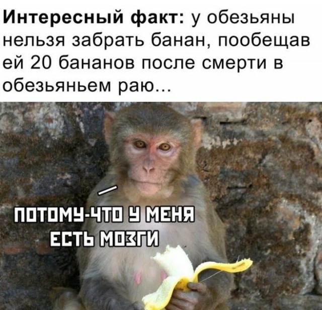 Сенатор Епифанова: Один пенсионный балл в 2025 году стоит почти 60 тысяч рублей