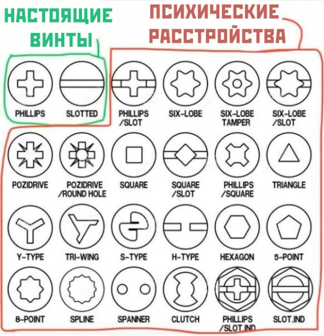 Веселые картинки в пятницу (04.04)