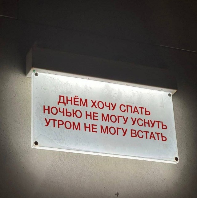 Веселые картинки в пятницу (11.07)