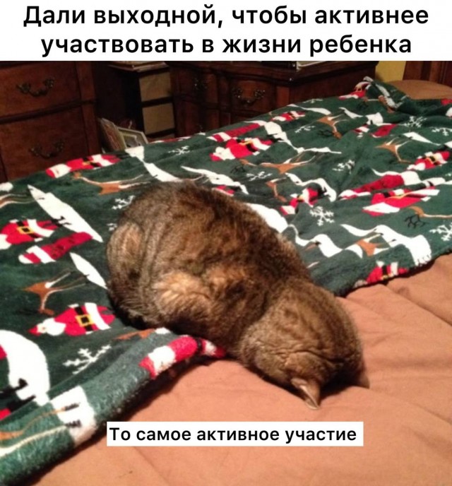 В Госдуме предложили давать дополнительный выходной россиянам с детьми