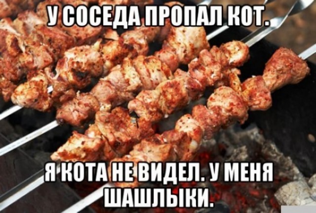 Пятничные 100м2 дичи