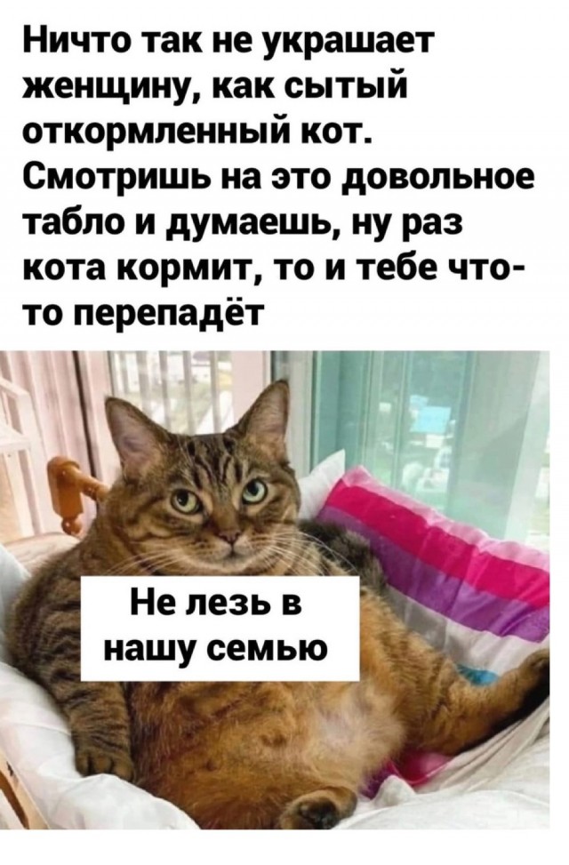 Так себе картинки 07.09.25