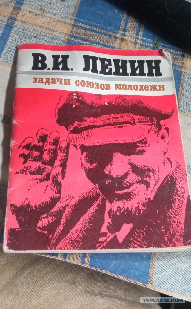 Я русский бы выучил только за то, что им разговаривал Ленин. 