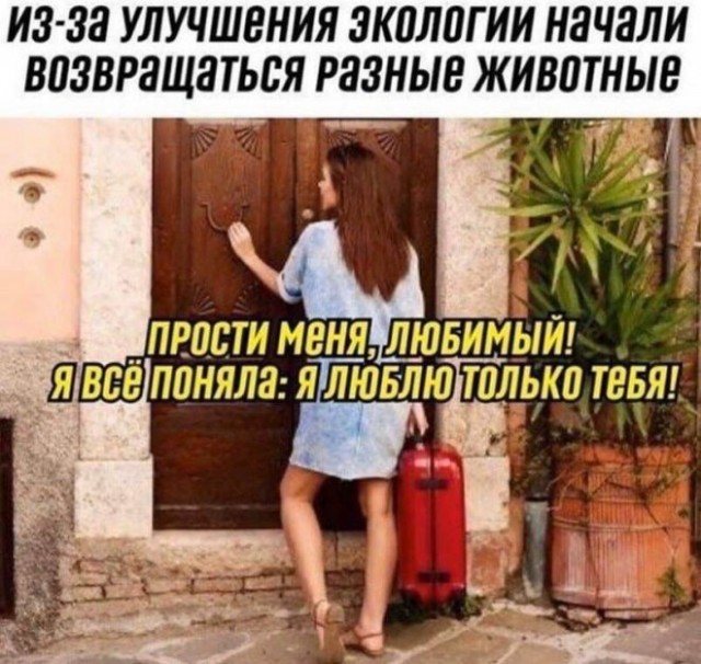 Веселые картинки в пятницу (10.10)