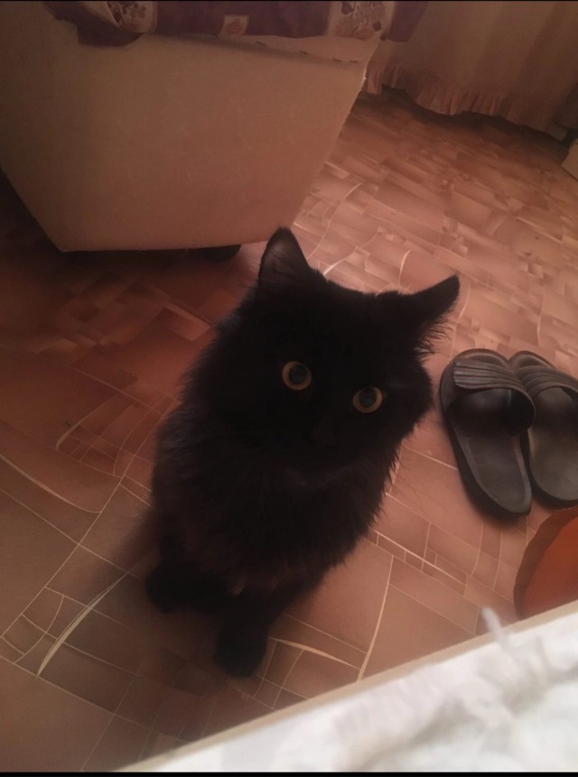 Наташа, где мой жрац?