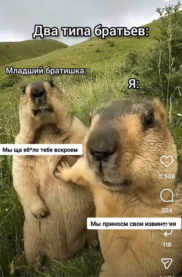 Картинки для деградации 103 (разной степени свежести)