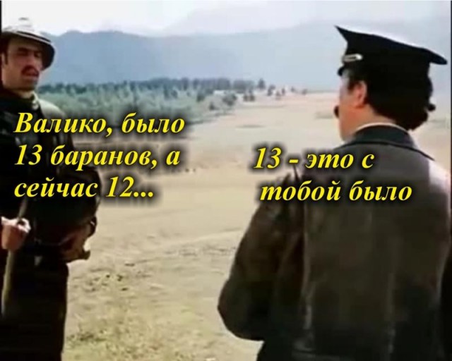 В Башкирии пастух решил перегнать 300 овец по льду, но он не выдержал: сотни животных ушли под воду