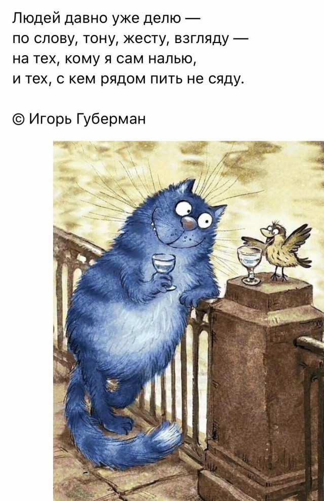 Прикольные и просто красивые картинки 30.01.2026