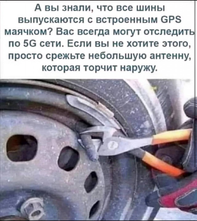 Картинки для деградации 169 (разной степени свежести)