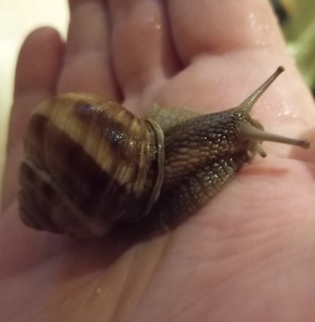 Всех с пятницей.