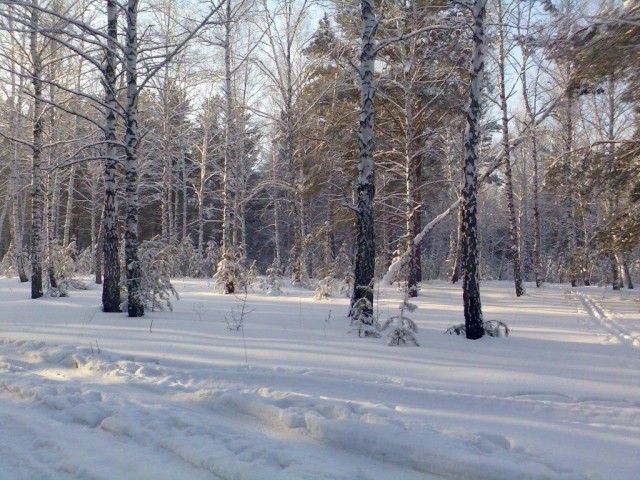 Русская зима
