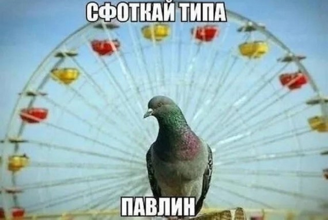 Так себе картинки 19.06.26