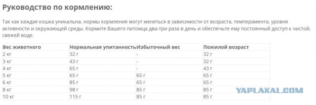Купите своему коту автоматическую кормушку