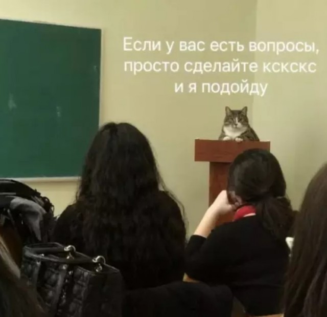 Картиночки, баянчики 01 июля
