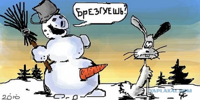 Морква от О3