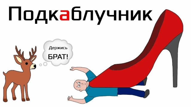 День подкаблучника отмечается сегодня