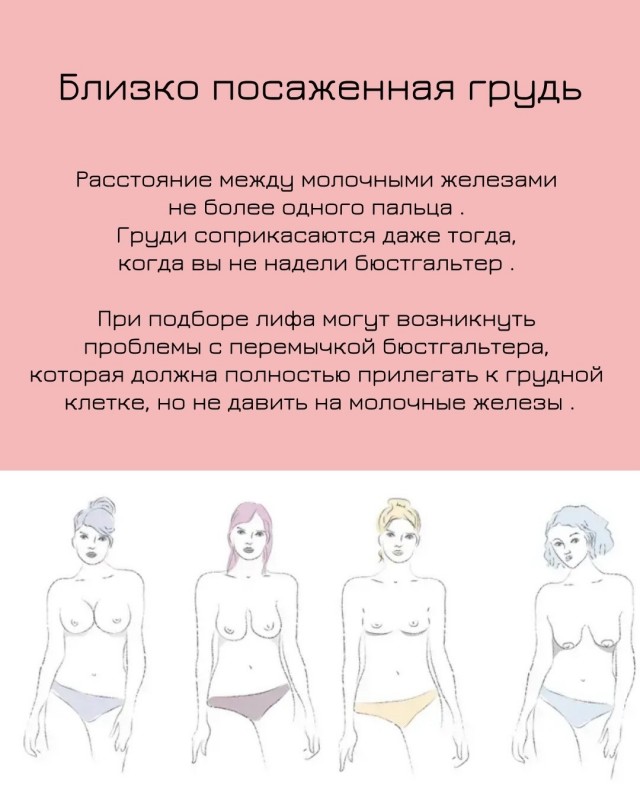Дорогу сиськам!