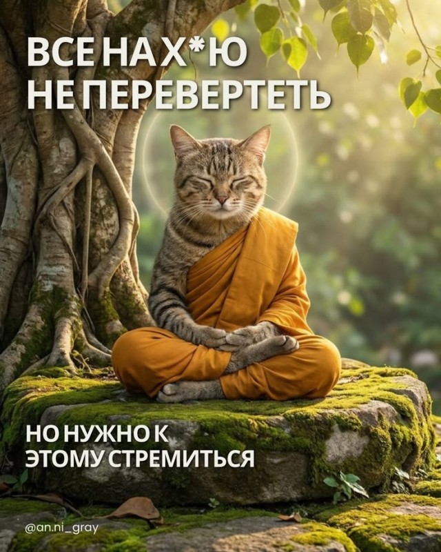 Прикольные и просто красивые картинки 14.08.2026