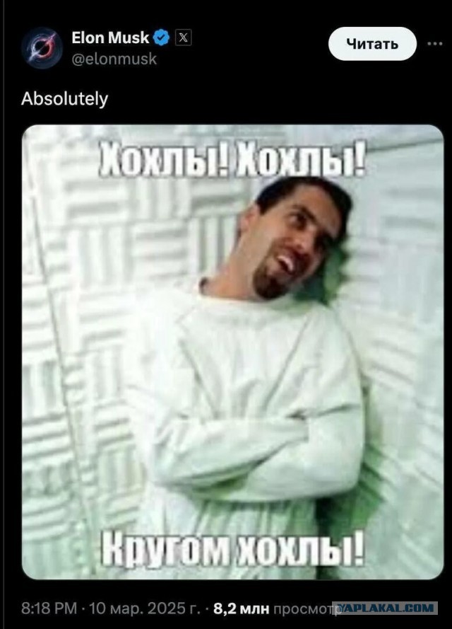 Сумасшедшие квартиранты
