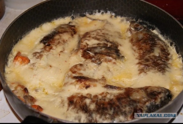 Мужская кулинария. Караси в сметане
