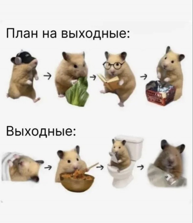 Давайте не будем себе врать