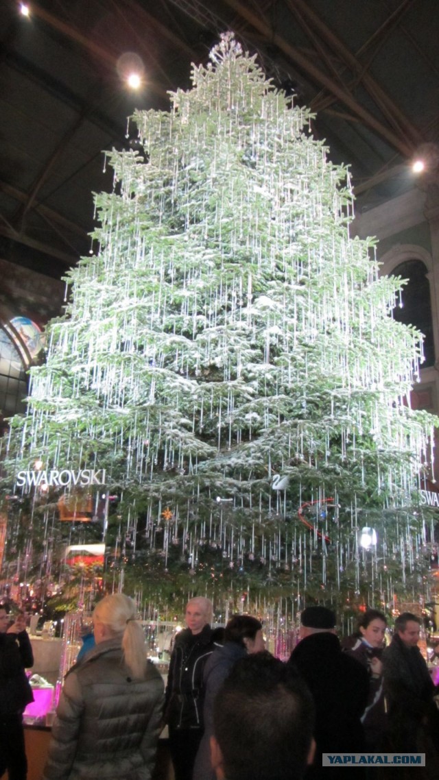 В поисках музея ПрофессораПлейшнера