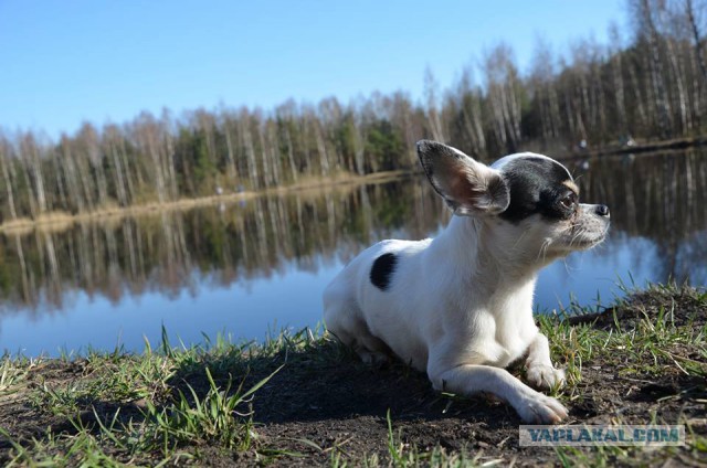 Мои фото