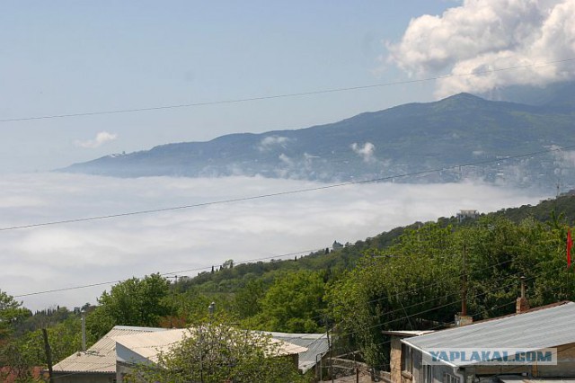 Обычный день.....Крымчанина.