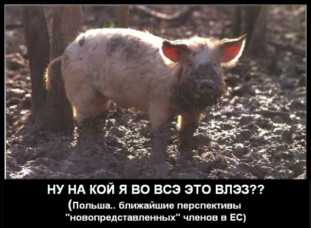 Украина, Грузия и Молдавия подписали соглашения