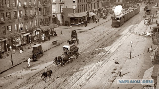 40 удивительных исторических фотографий