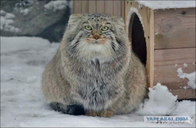 Картинки и юмор