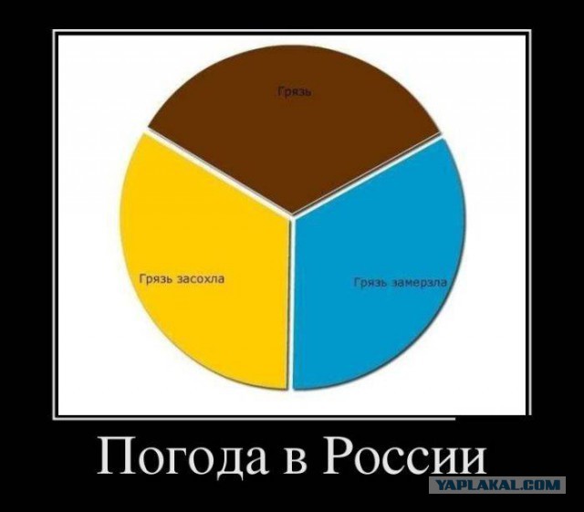 Весёлости в картинках