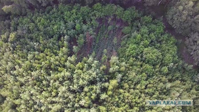 Неведомую хрень нашли под Челябинском