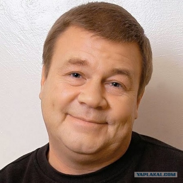 Кошка привела котят к своему старому другу