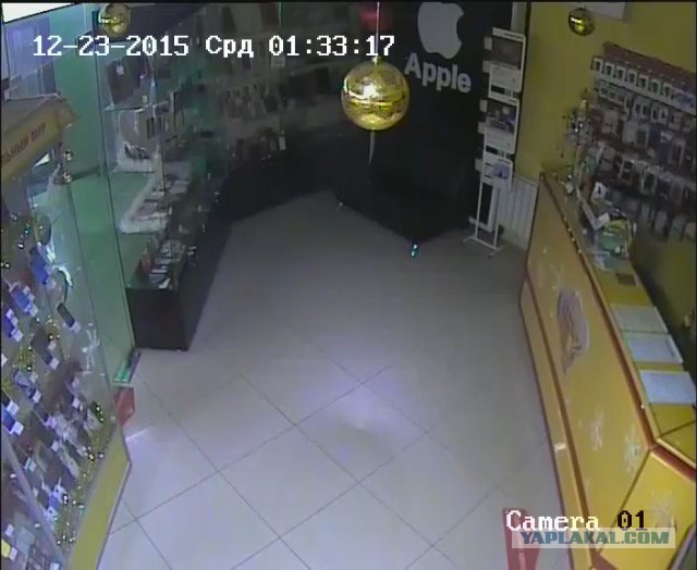 За что я люблю китайцев