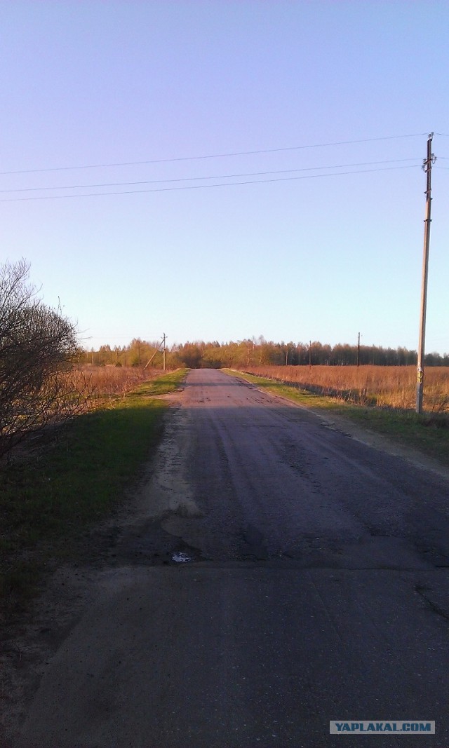 Я узнал, что у меня есть огромная семья