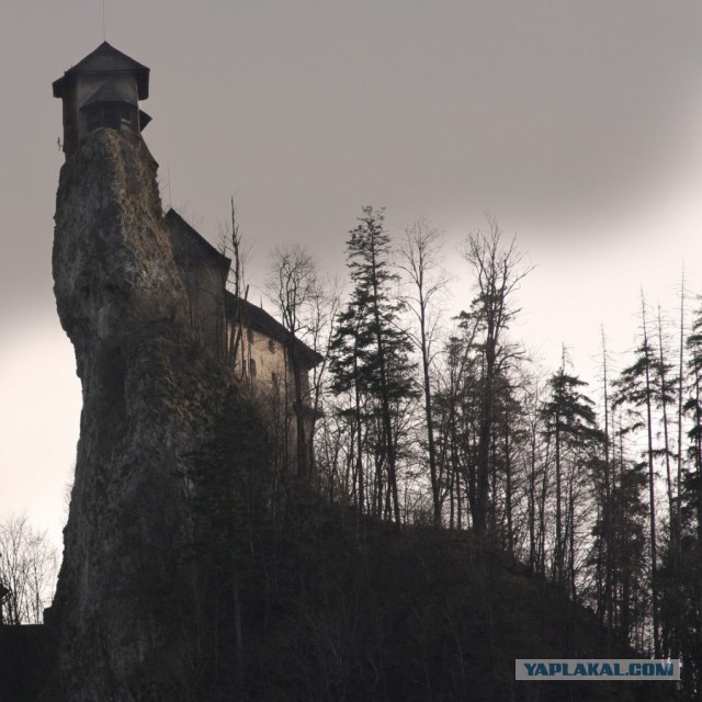 Подборка интересных и веселых фото