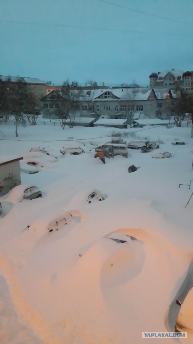 Картинки не из интернета.....