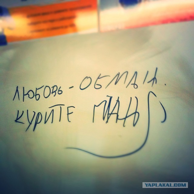 Весёлые картинки