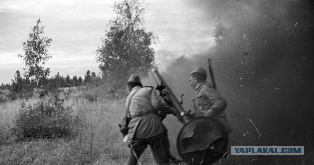 Трофеи Великой Отечественной Войны