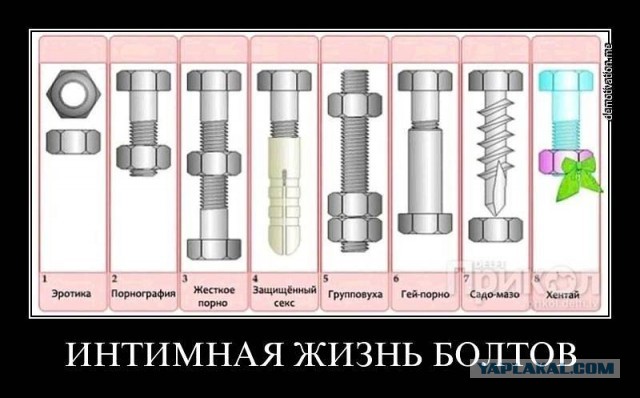 Болт и мат