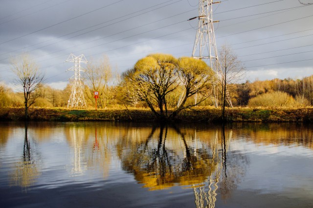 Картинок всяких разных
