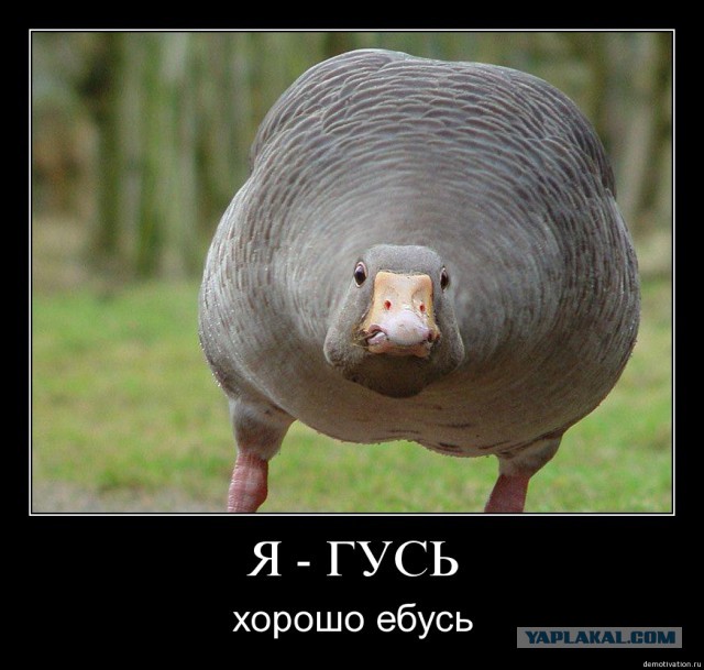 Худший женский стереотип о мужчинах