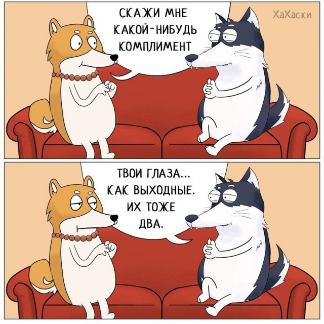 Картинки юморные и тексты