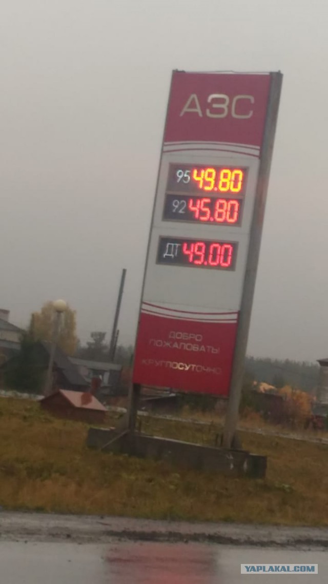 50 рублей за литр. В Петербурге разморозили цену на топливо, будет расти и дальше
