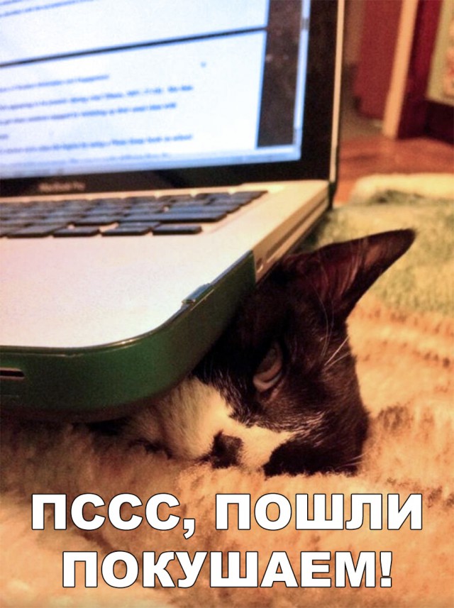 Нестандартный юмор
