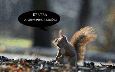 Белки бывают разные