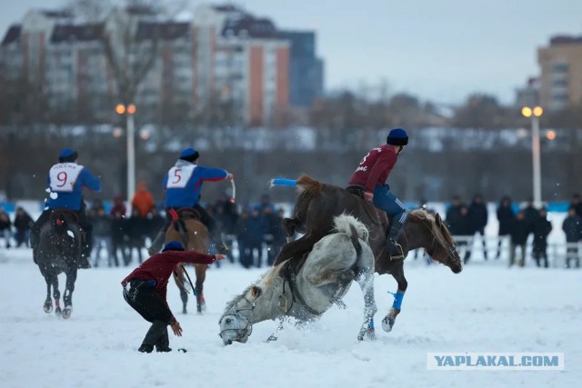 Со своим уставом в чужой монастырь. Доколе?! Кок-бору в Москве