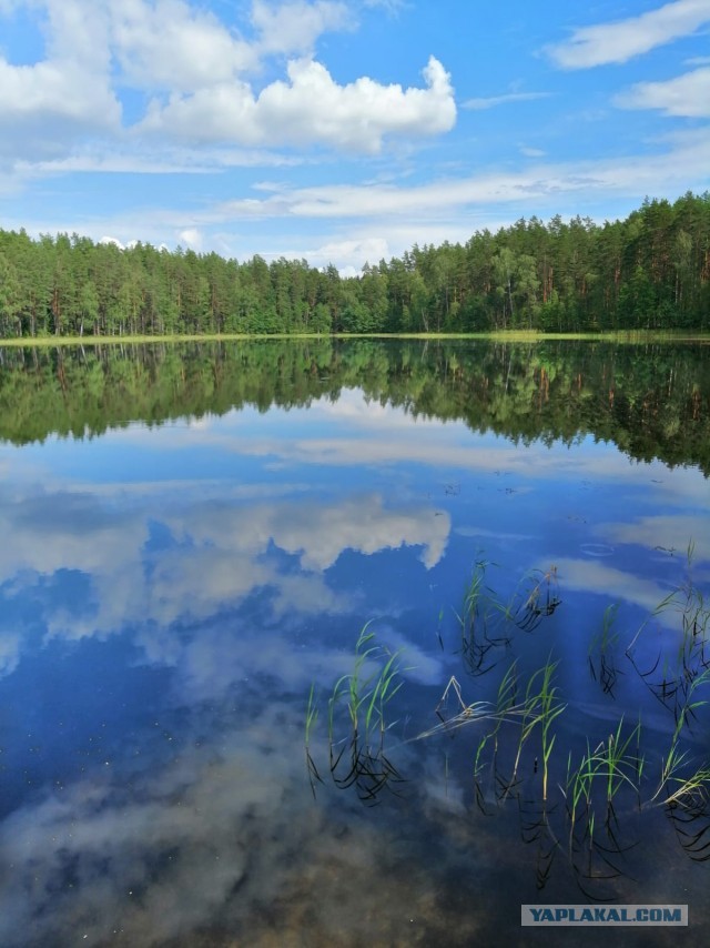 Деревенская Америка - 5
