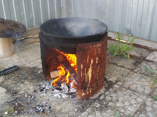 Шурпа обыкновенная, на природе